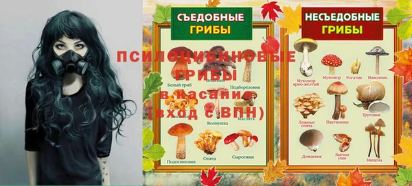 твердый Алексин