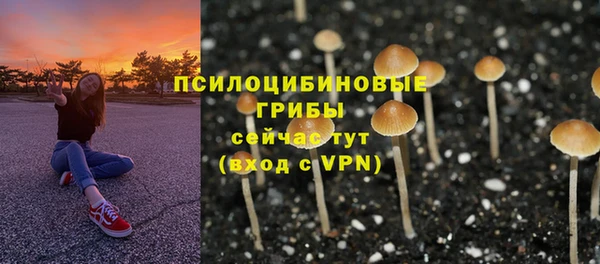 твердый Алексин