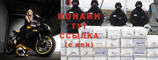 твердый Алексин