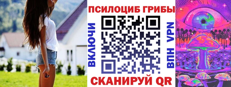 Купить где  Багратионовск  Псилоцибиновые грибы MAGIC MUSHROOMS 